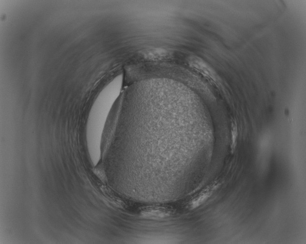 X0000067890750200604271826