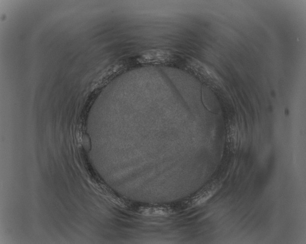 X0000067890751200604271826