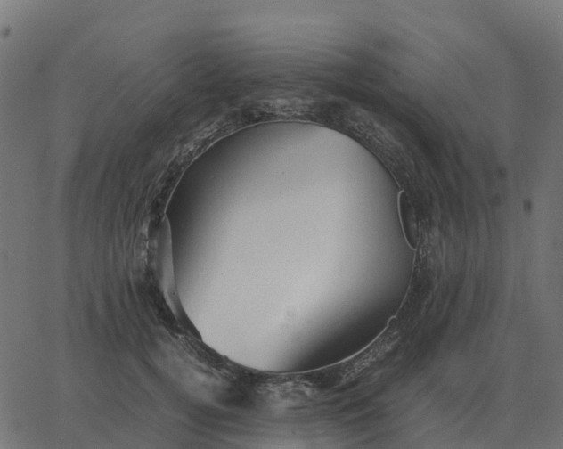 X0000067890752200604271826