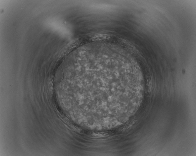 X0000067890753200604271826