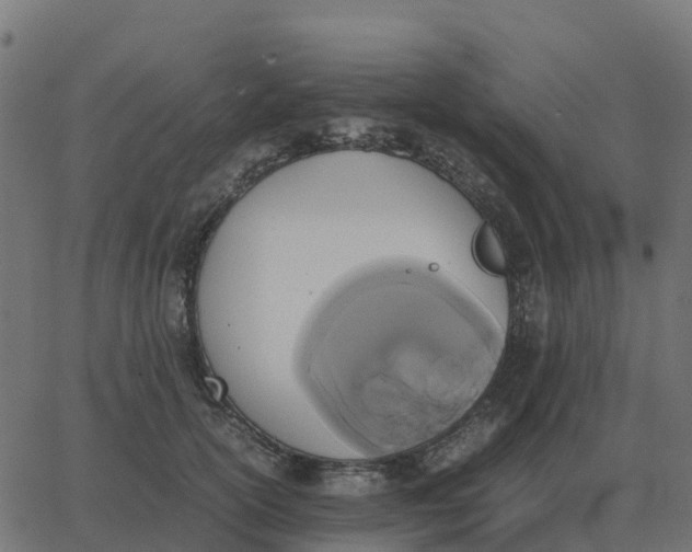 X0000067890754200604271826