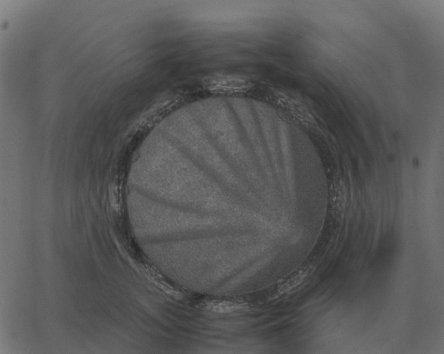 X0000067890755200604271826