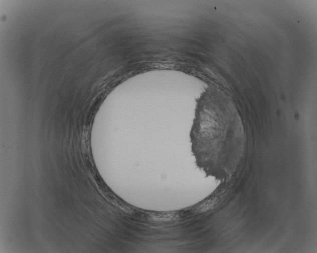 X0000067890757200604271826