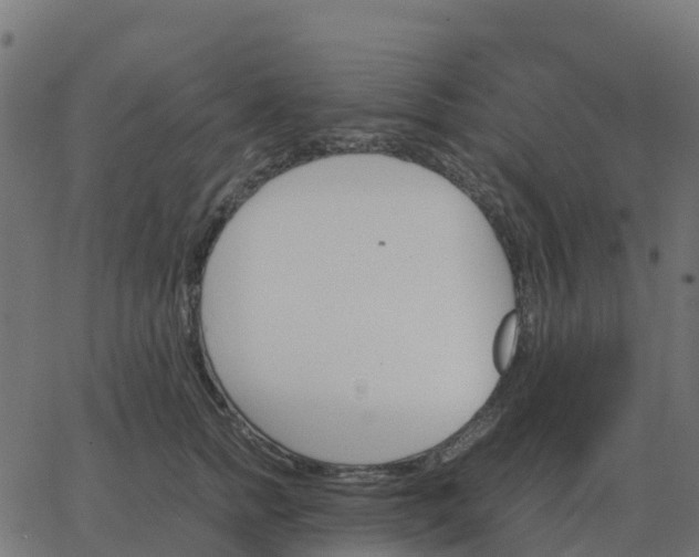 X0000067890758200604271826