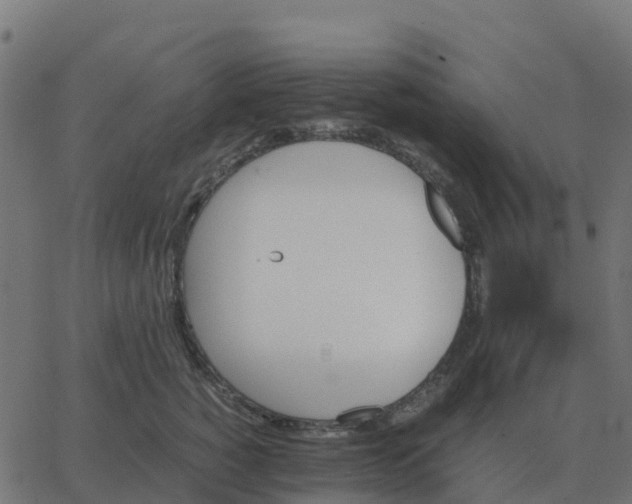 X0000067890760200604271826