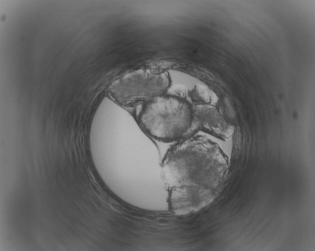 X0000067890761200604271826