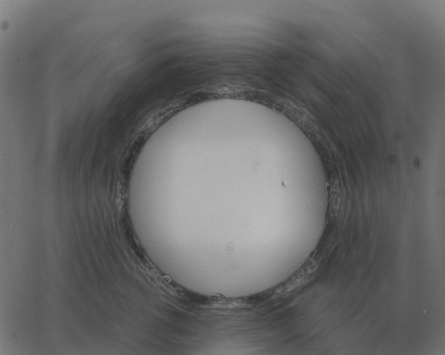 X0000067890762200604271826