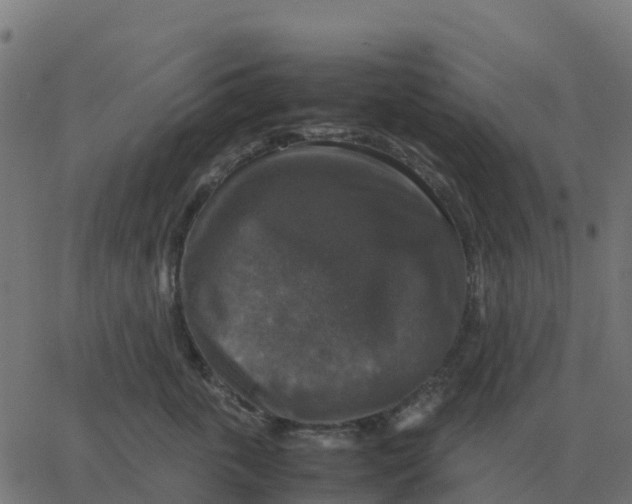 X0000067890763200604271826