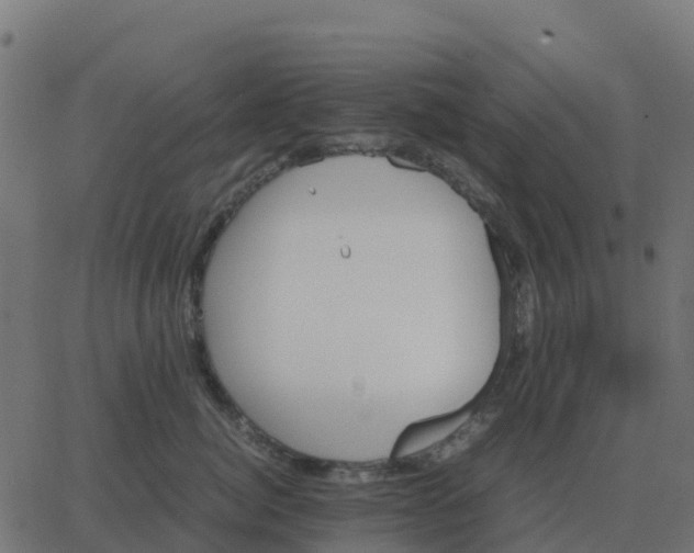 X0000067890764200604271826