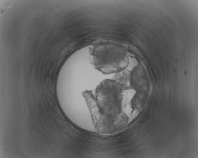 X0000067890765200604271826