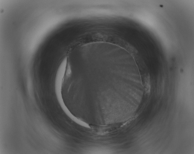 X0000067890766200604271826