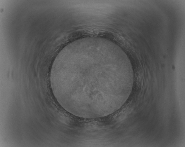 X0000067890769200604271825