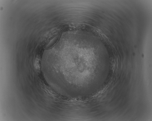 X0000067890770200604271825