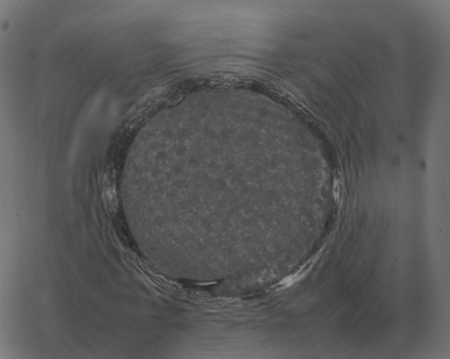 X0000067890771200604271825