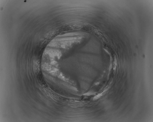 X0000067890772200604271825