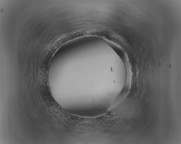 X0000067890773200604271825