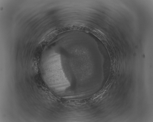 X0000067890774200604271825