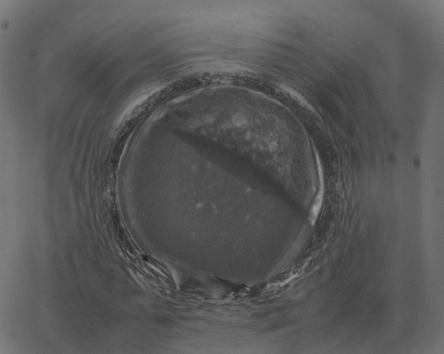 X0000067890775200604271825