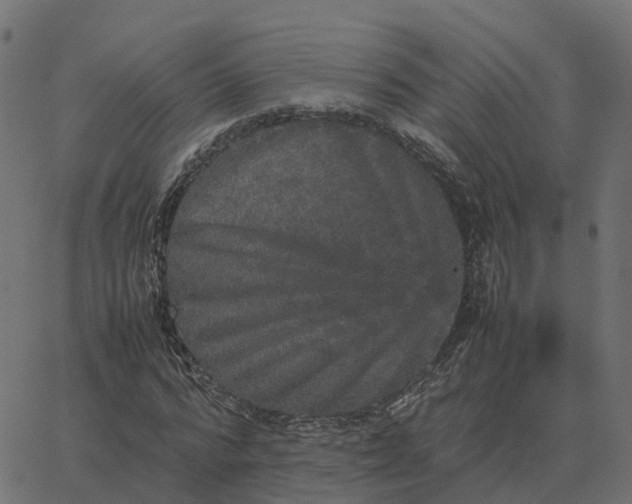 X0000067890776200604271825