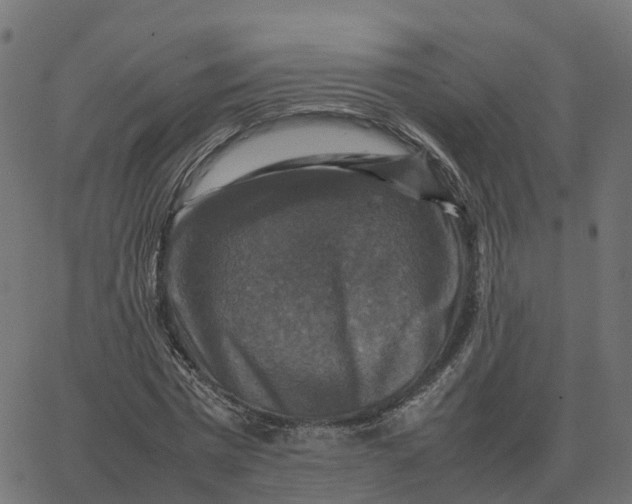 X0000067890777200604271825