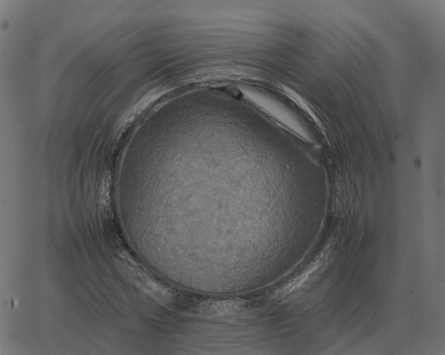 X0000067890778200604271825