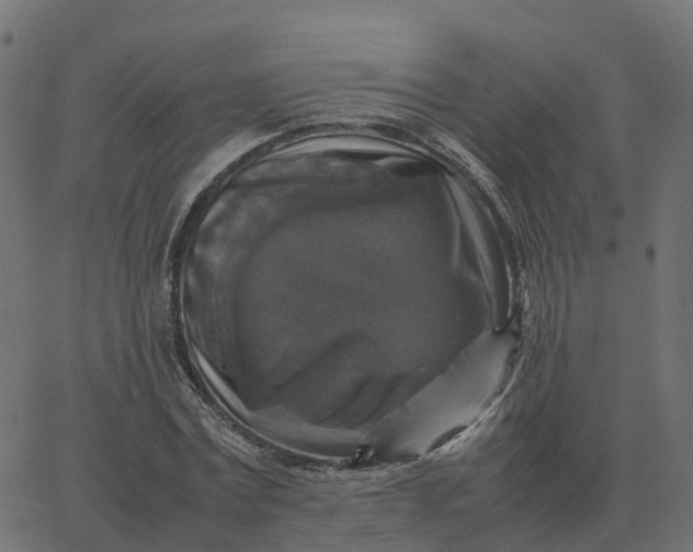 X0000067890779200604271825