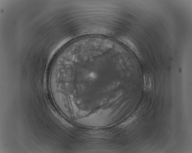 X0000067890780200604271825