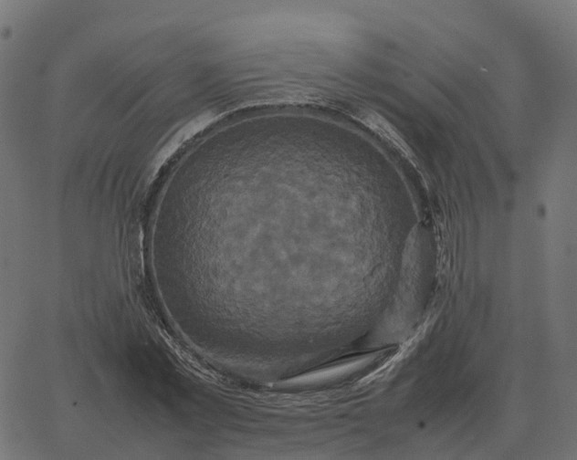 X0000067890781200604271825