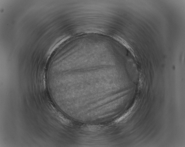 X0000067890782200604271825