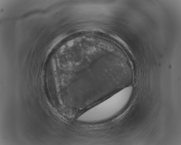 X0000067890783200604271825