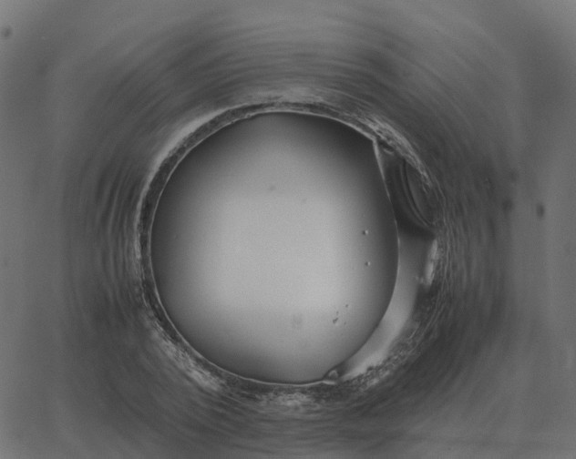 X0000067890784200604271825