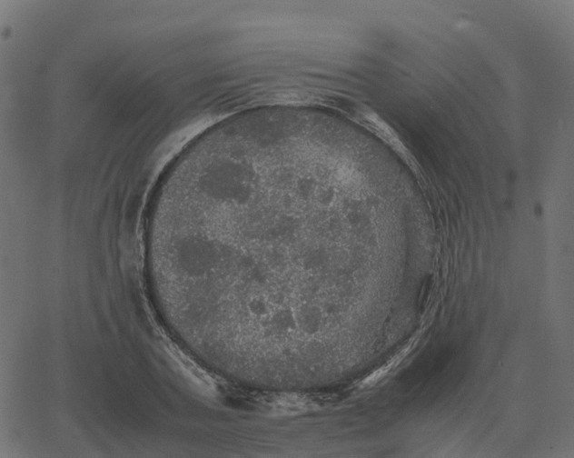 X0000067890787200604271825