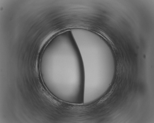 X0000067890788200604271825