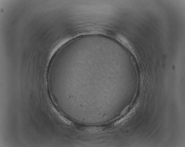 X0000067890789200604271825