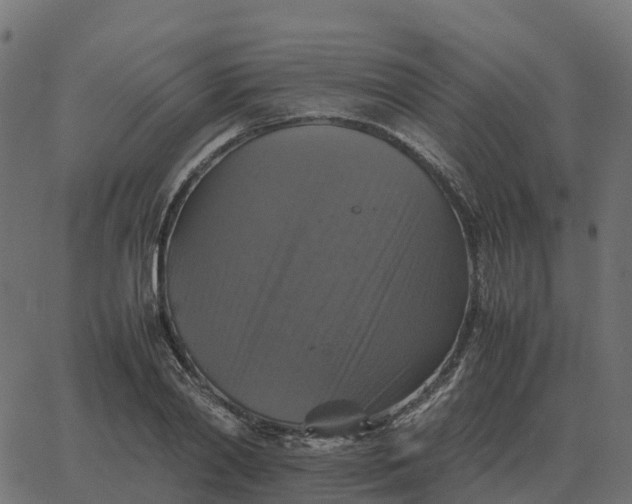 X0000067890790200604271825