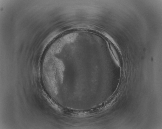 X0000067890791200604271825