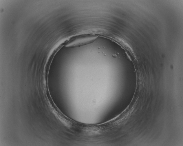 X0000067890792200604271825