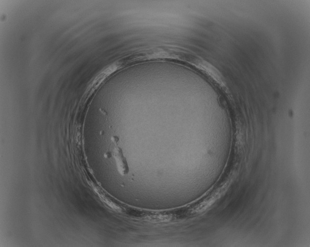 X0000067890793200604271825