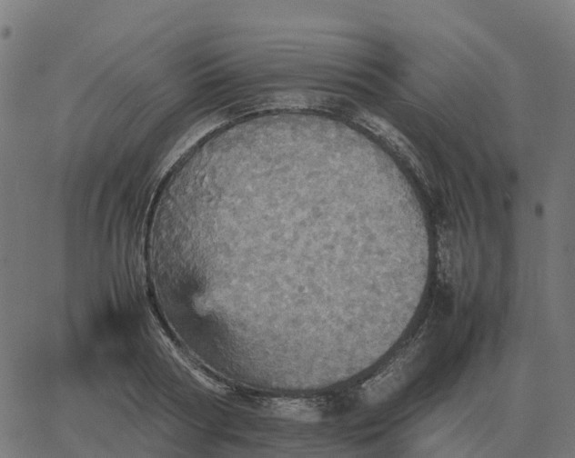 X0000067890794200604271825