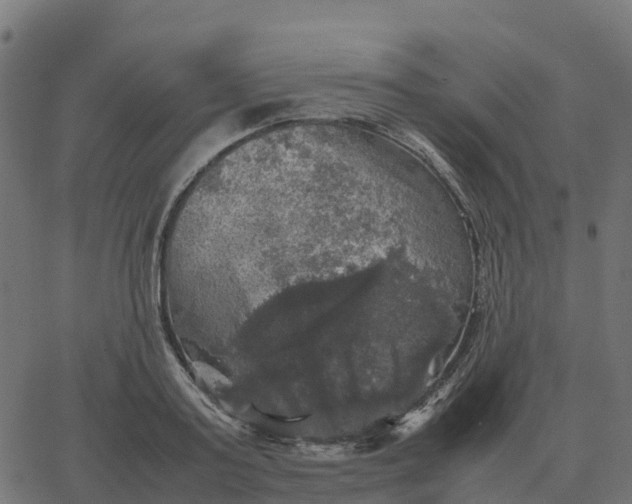 X0000067890795200604271825