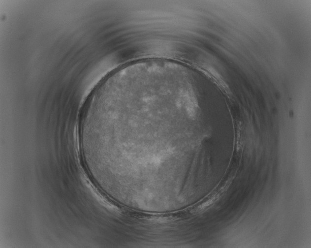 X0000067890796200604271825