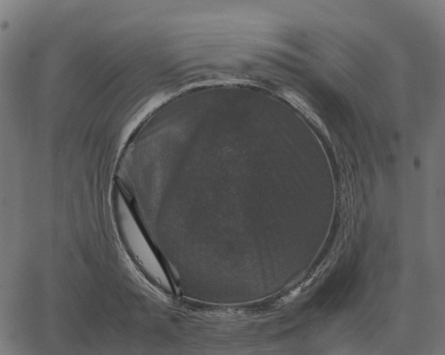 X0000067890797200604271825