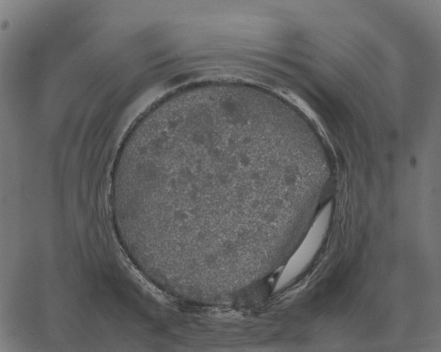 X0000067890799200604271825