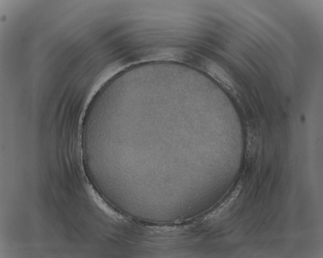 X0000067890800200604271825