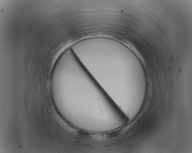 X0000067890805200604271825