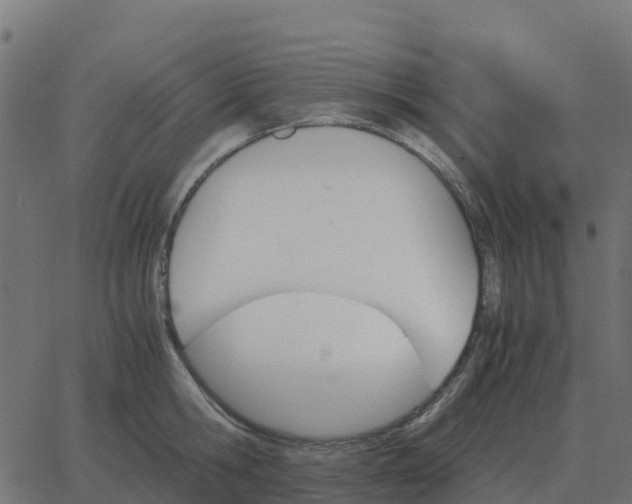 X0000067890806200604271825