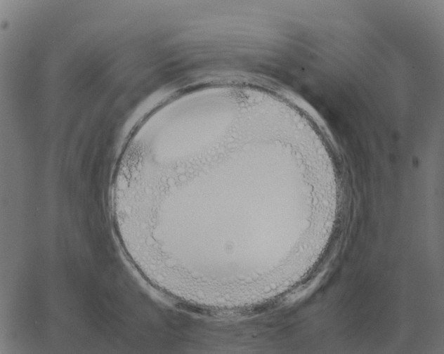 X0000067890807200604271825