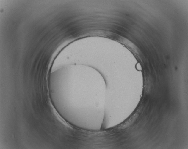 X0000067890808200604271825