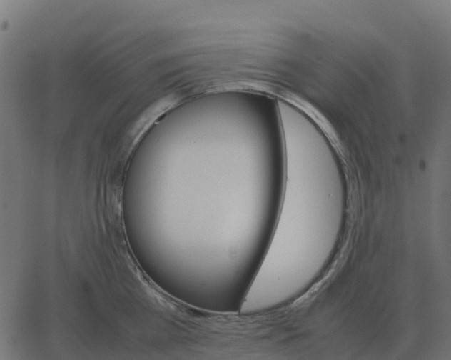 X0000067890809200604271825