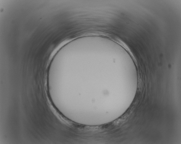 X0000067890811200604271825